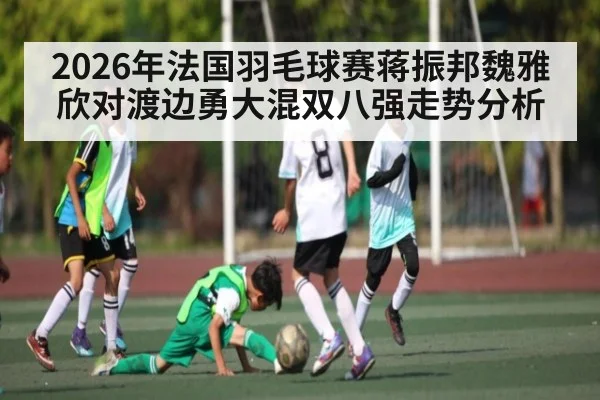 2026年法国羽毛球赛蒋振邦魏雅欣对渡边勇大混双八强走势分析 | kaiyun